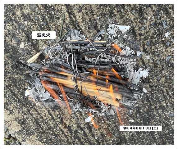 E66AA4CF-D1E0-4A2E-BCA8-9AB2C087CC66.jpeg