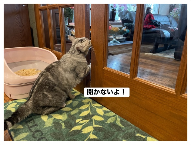 7368E6AD-9667-4F95-8B77-9C315B05BF94.jpeg