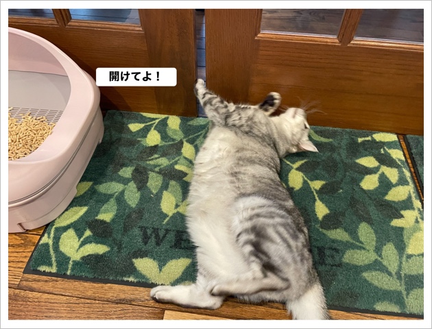 C563A0B5-E2C9-4623-8F93-18D66C1ACBB2.jpeg