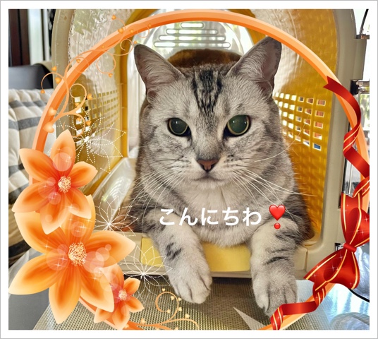 BC6D8D2A-B914-4CE5-A176-848D8337FDF8.jpeg