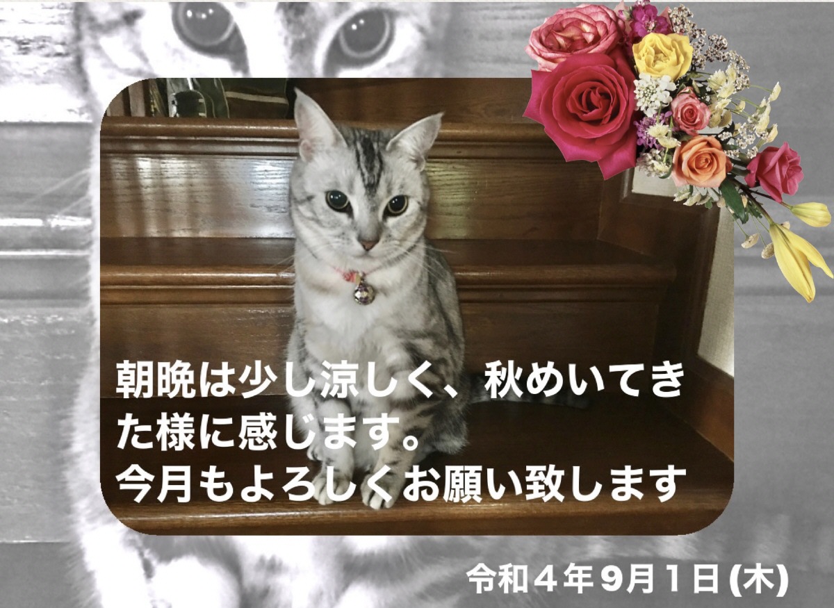 A8EF38D2-2A22-47DA-A261-3C8E66183217.jpeg