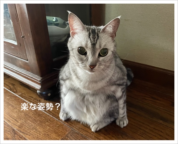 A6F8B401-D033-44ED-8E32-A650801278F9.jpeg