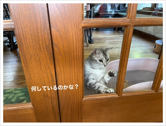 30CB4D80-6044-4331-9AB0-54B29B3F9C0A.jpeg