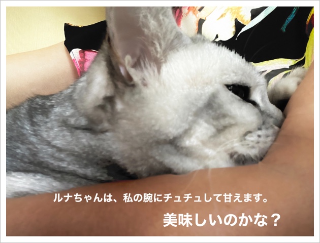 683169C0-384E-4D9A-B918-CE25A6F43D00.jpeg