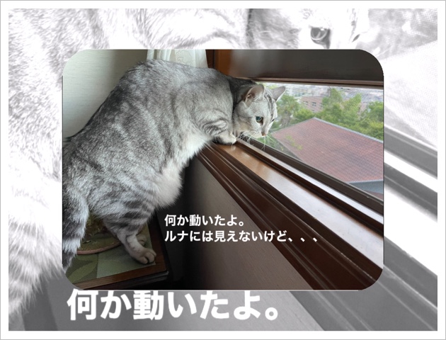 1CABAAEE-DC18-4067-825D-866385A6C6BA.jpeg
