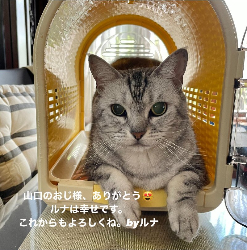 A33ABF2C-0787-481D-8BA8-CEB090877D4A.jpeg