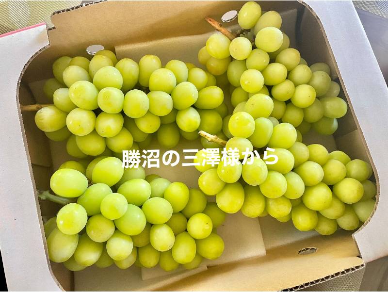 47A80D96-15A4-4090-AC98-6D58BA382D3C.jpeg