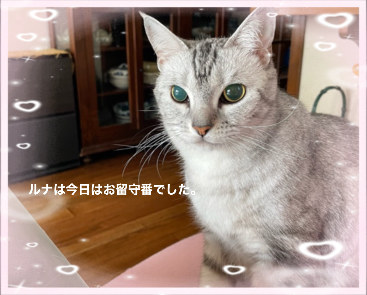 724C0111-D314-4EFF-A64C-524C6D6F570D.jpeg