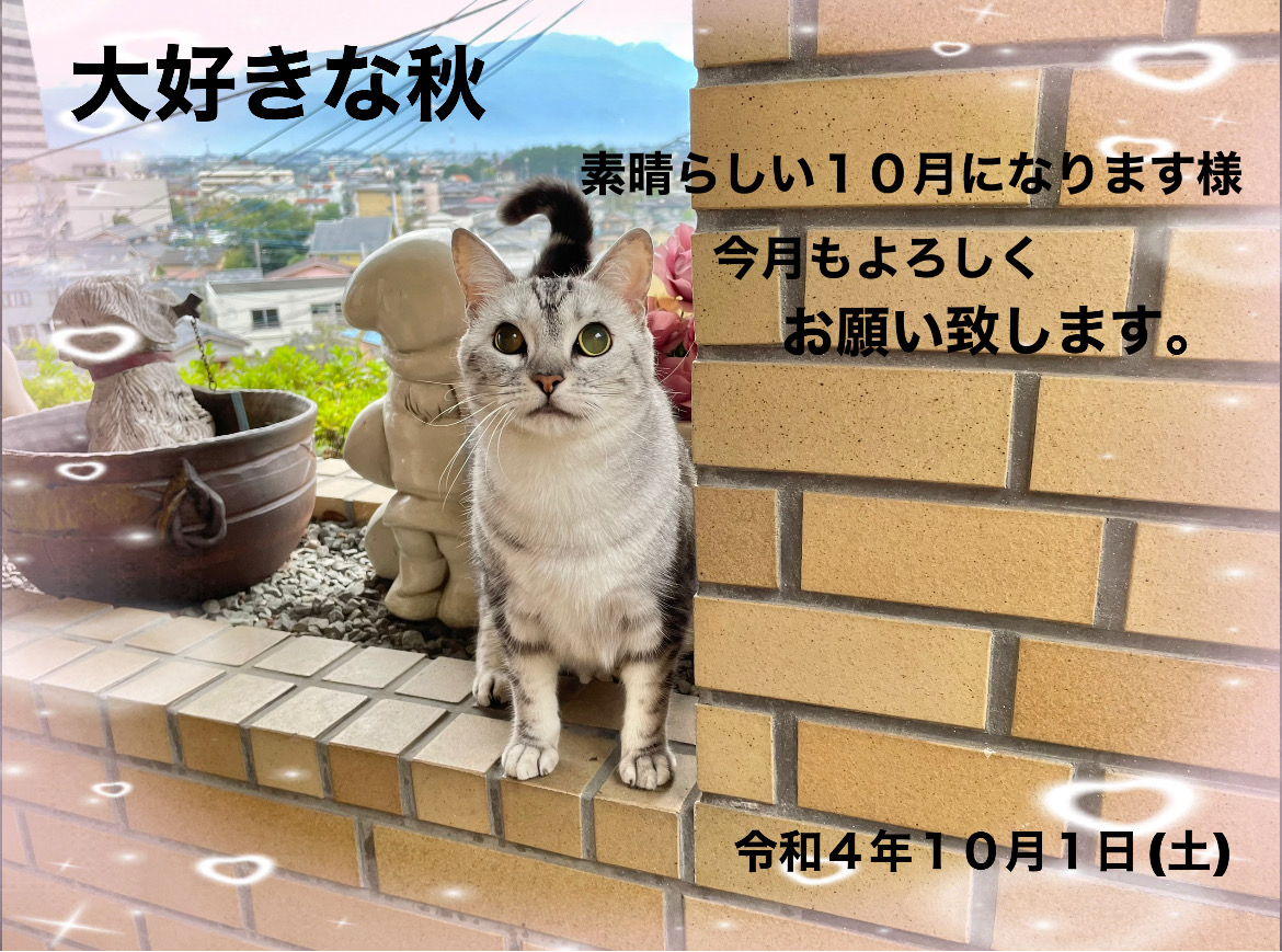 0C281307-A171-47C9-89D4-6110A12A6E40.jpeg
