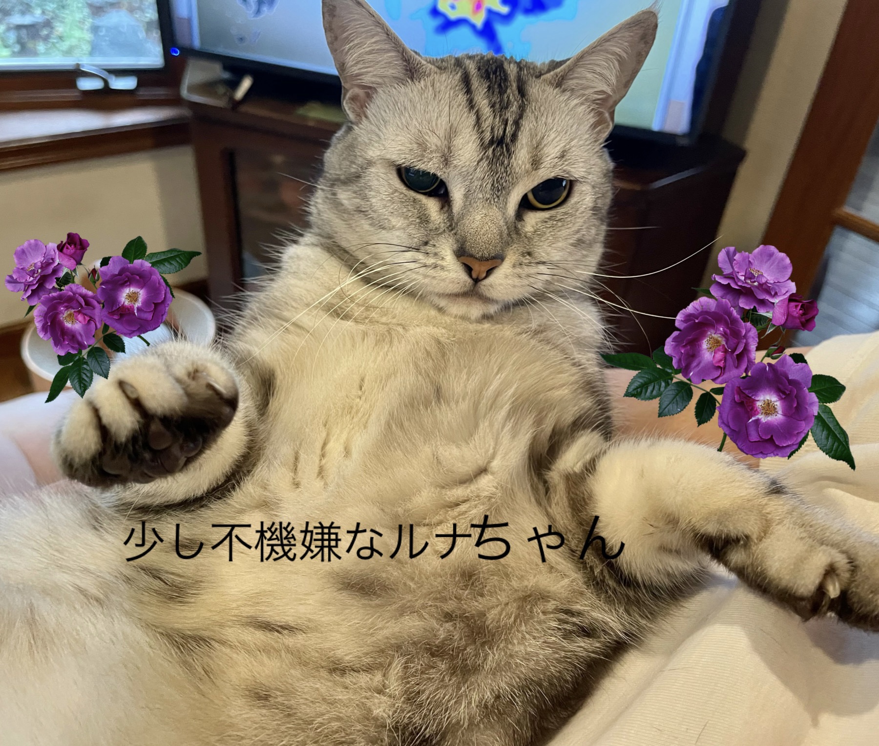 6CF1FB9E-3509-4AA3-A167-ACDC5548FEBA.jpeg