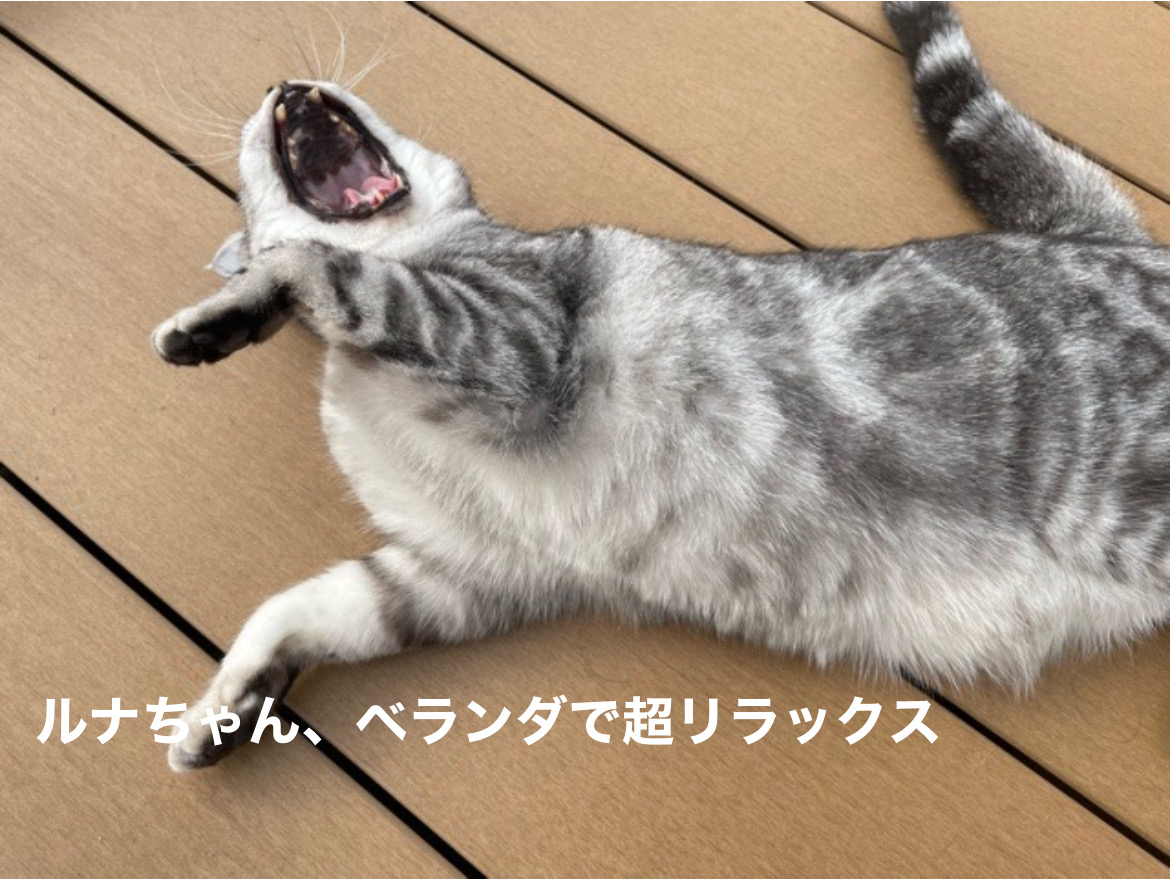 A77A814D-AA94-4552-859C-42D758DDDB30.jpeg