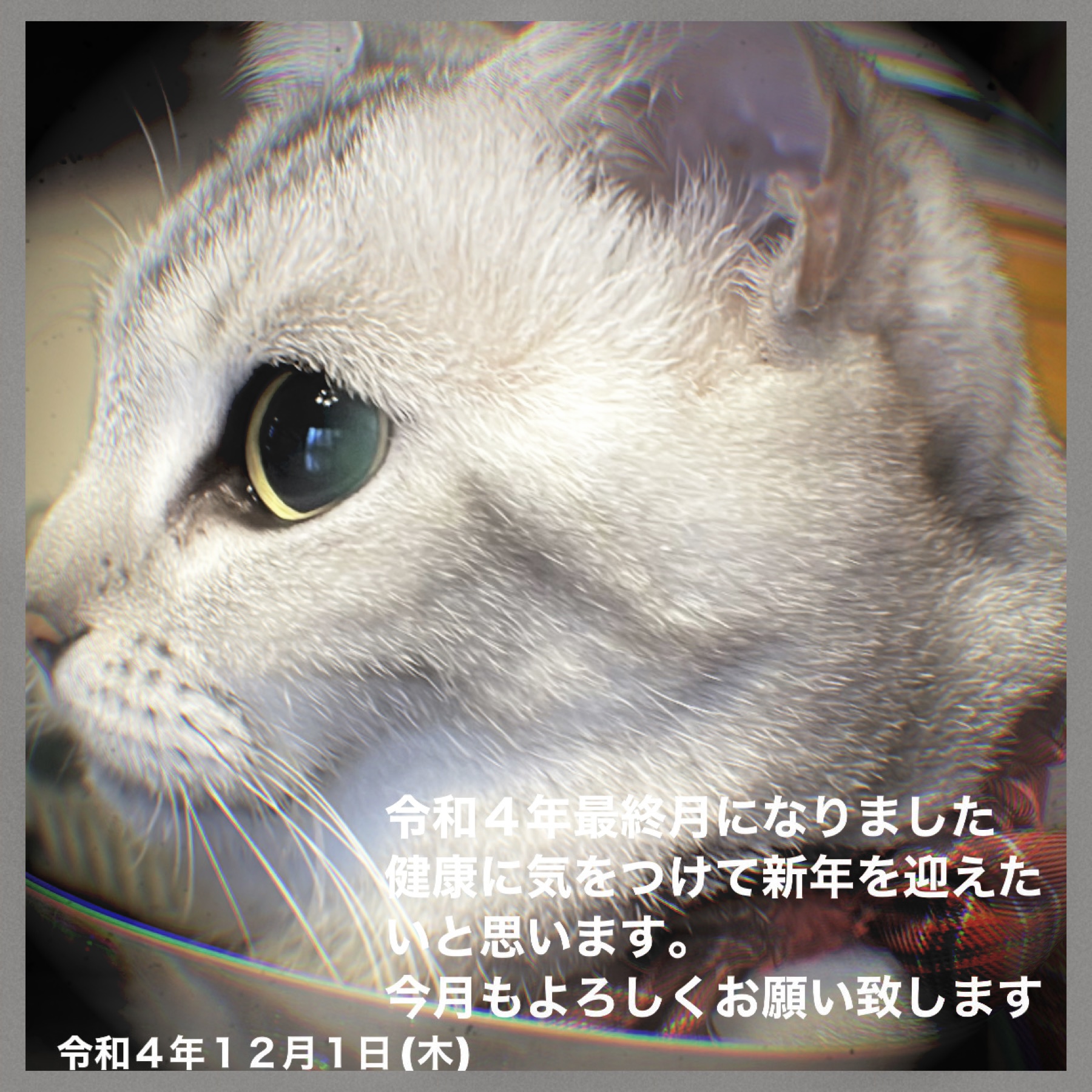 05F60DA1-0406-4456-B7FA-0309567A3B04.jpeg