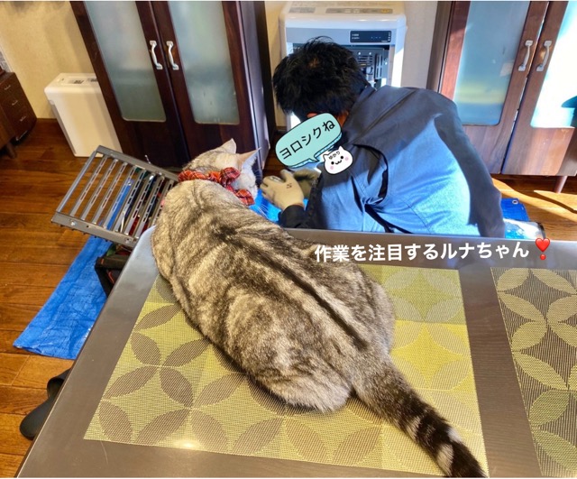 ファンヒーター点検 3CC0A5F0-7075-4817-A631-98CD29C79C24.jpeg