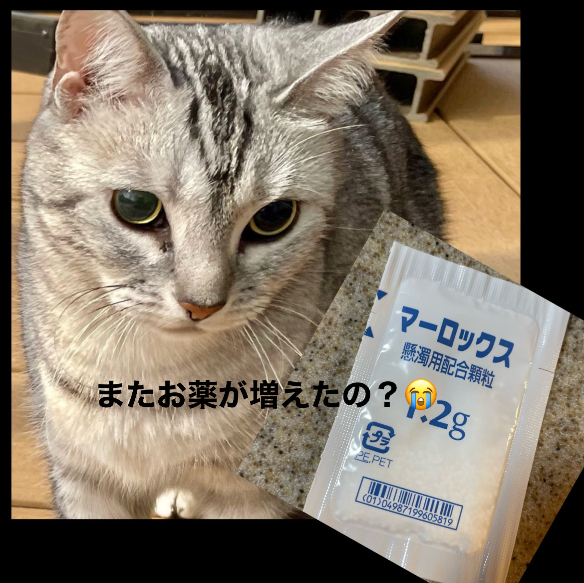 2DD862E9-8DCA-4A7A-907E-9EE5AEC11C4A