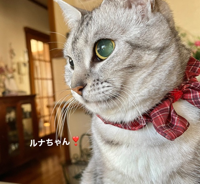 0730E9FF-0031-463B-BFD9-64A60FB101D5