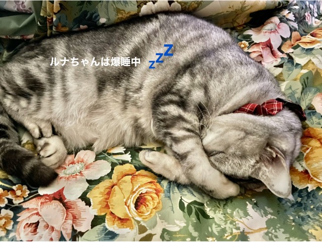 43D003BA-8A77-4271-A4C3-2569AC88B682