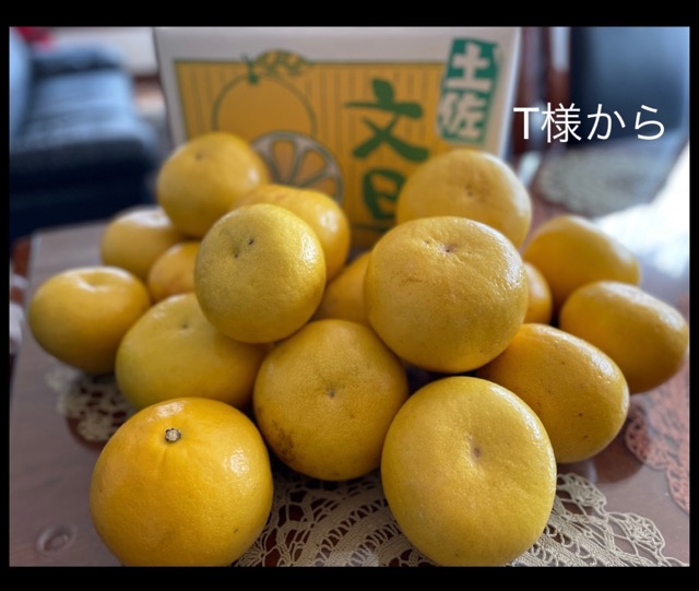 68BB0866-6322-4405-A3D4-747A0F46F850