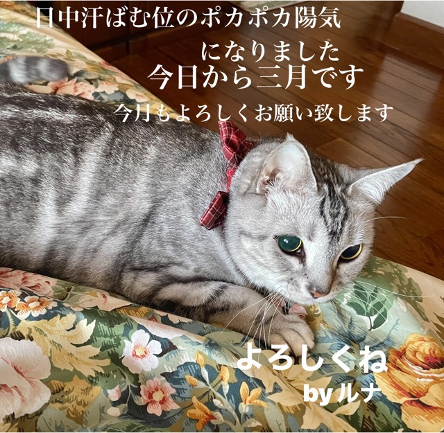 C82E7C47-3138-4BFF-99ED-833FF0300459
