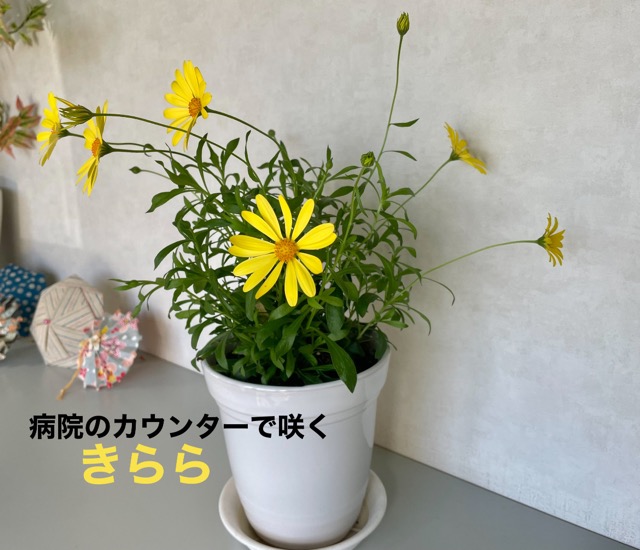 1F66A6D7-EC9C-45B5-9EF8-14F3DEF4230B