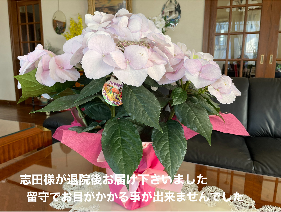 2E77EF33-A6C0-42B5-B47C-29784190A16D