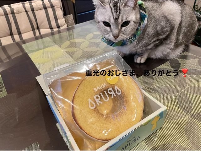 5F54CB58-73E3-4708-9AD9-316B38037AE9