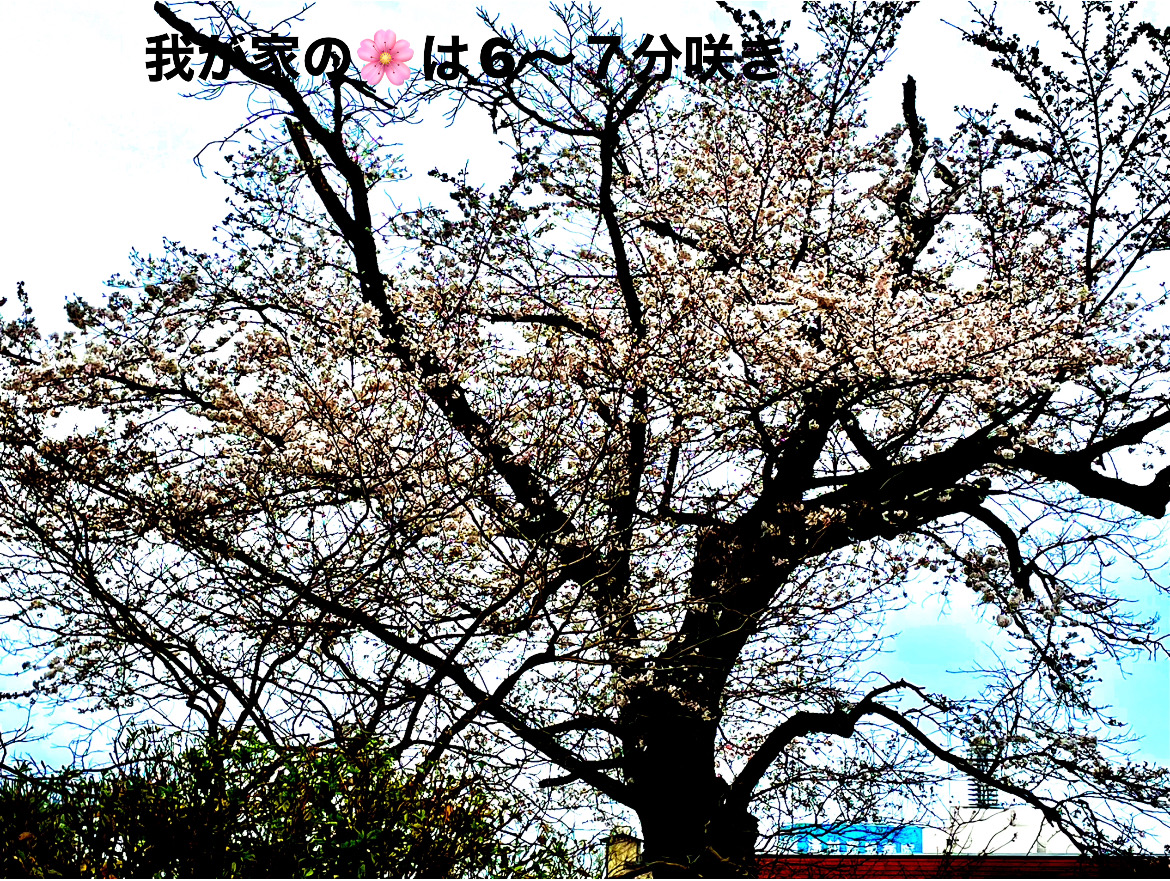 DC29C3E2-5508-4758-90DB-4DD422EFC4CC