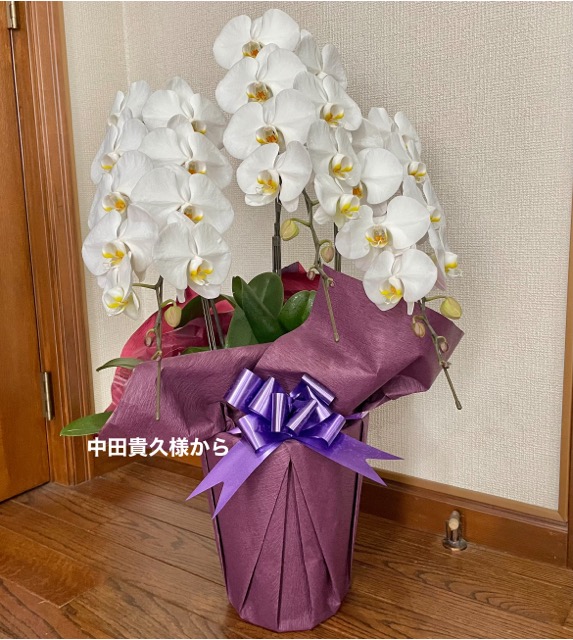 7F5400F0-C67F-4B09-ADC2-BB9139978D2D