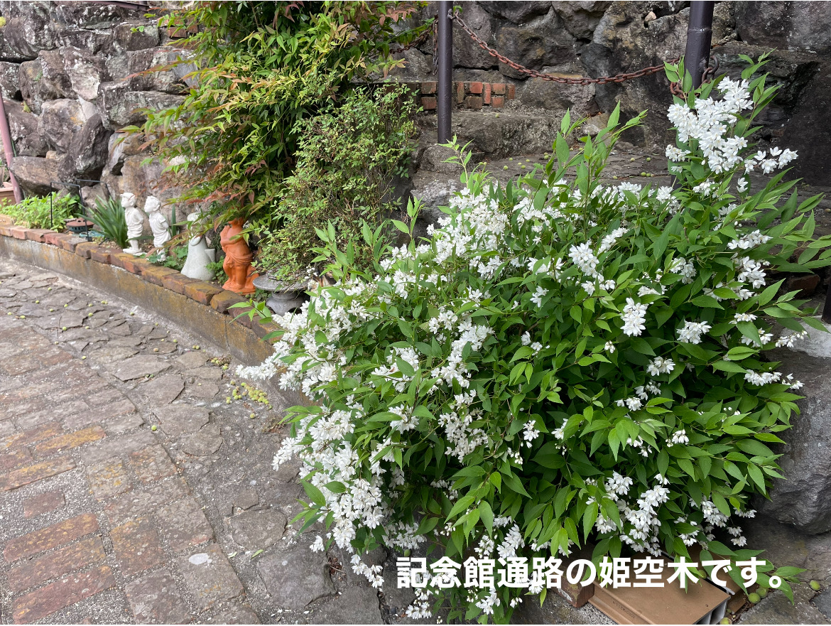 1340A90A-BAAE-4355-93D8-5AD76D675B7B