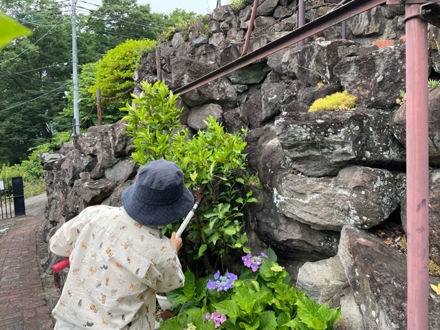 柚子の木の剪中のA.Aさま IMG_9459