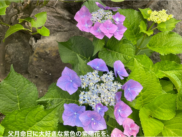 9A48A52A-6C91-4AD5-B74B-AF07DD5E854B