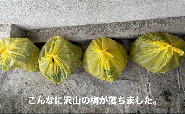 9E195A0B-91B1-4B1C-B53F-3088CC8A6067