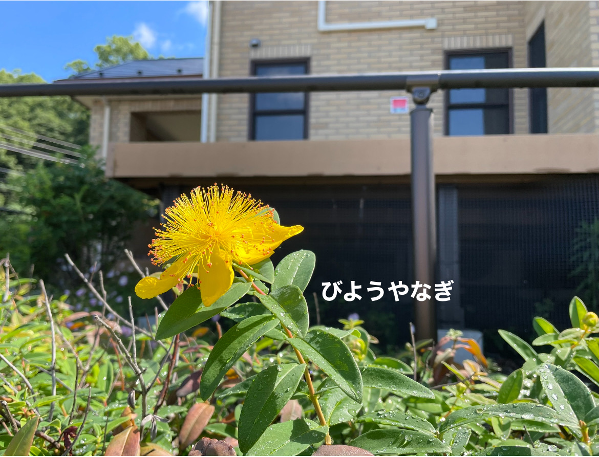 530C644B-B0A6-40AE-AB03-B7DAF98CBA03