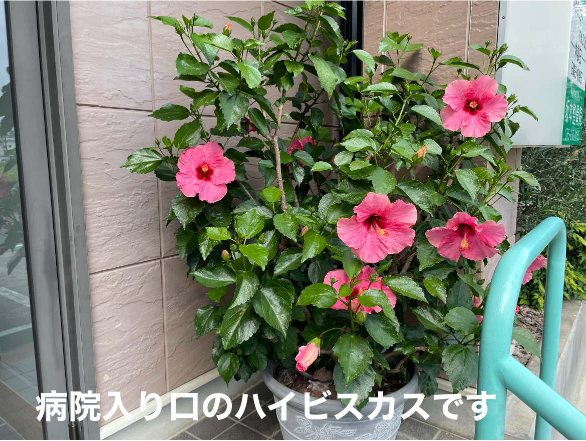 713FD49E-7415-42DE-A85B-03B4C69089D3
