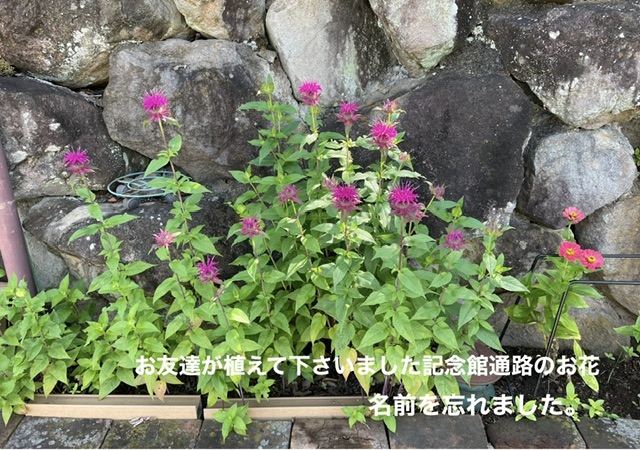 614CE9A7-1567-4054-9029-13D37F4256A7