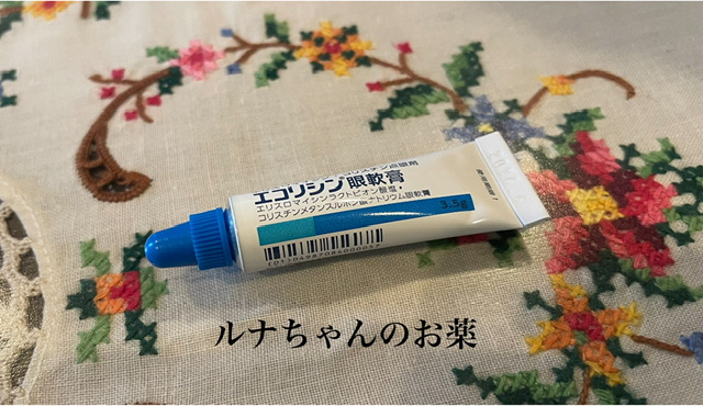 8A5B18E3-AA2A-42F0-B3C6-EC9BC3721E80