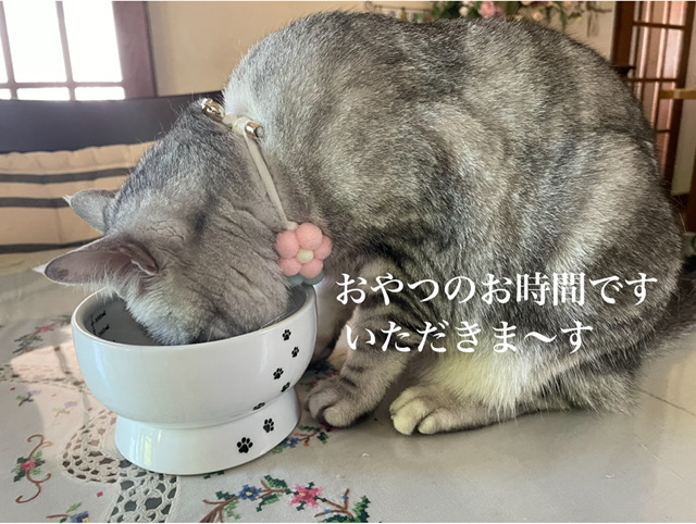 7B570139-A7E5-47FC-A497-8DBBC4680918