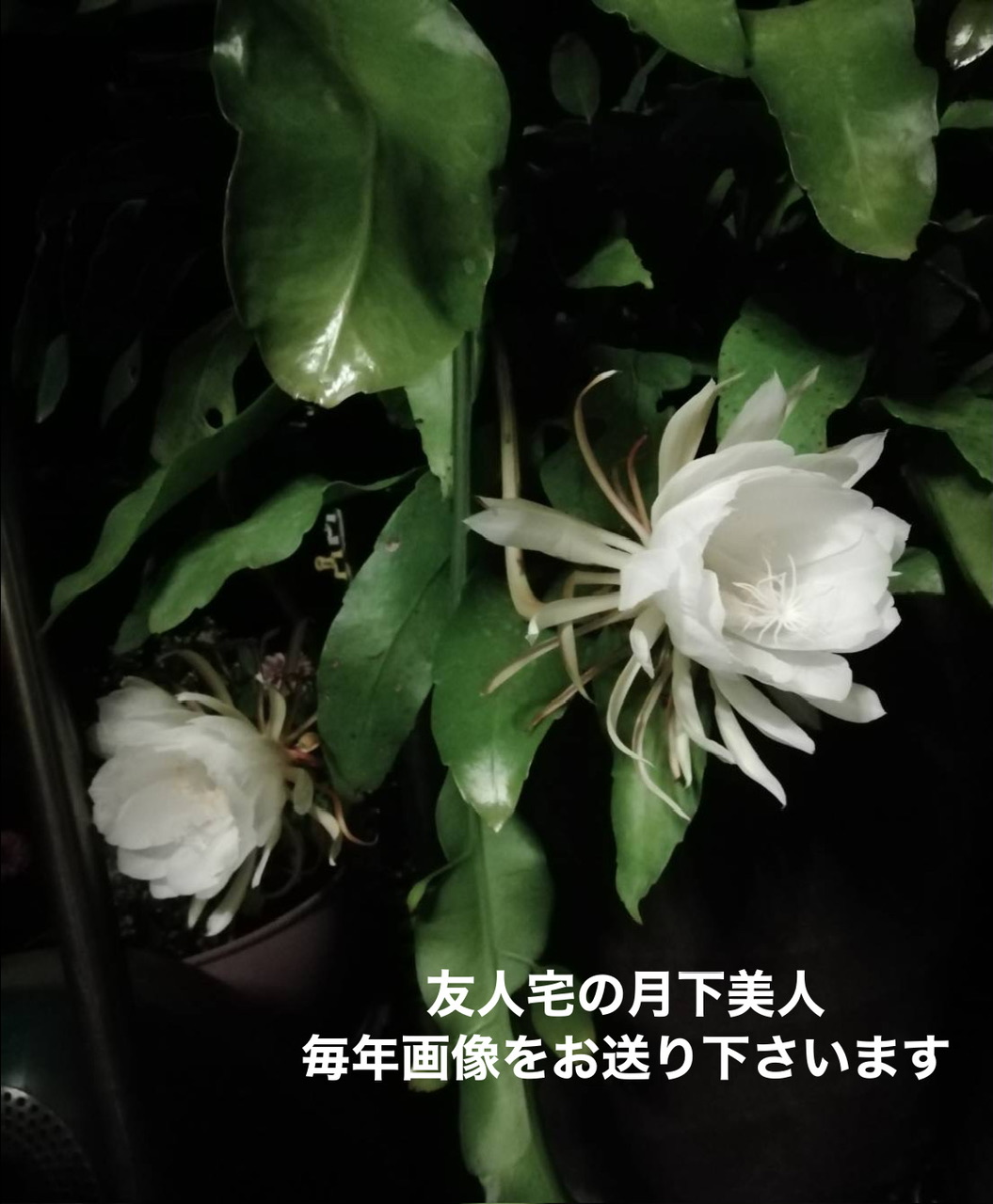 1C7F3B32-3DF3-44E9-9E73-45CD09761F48