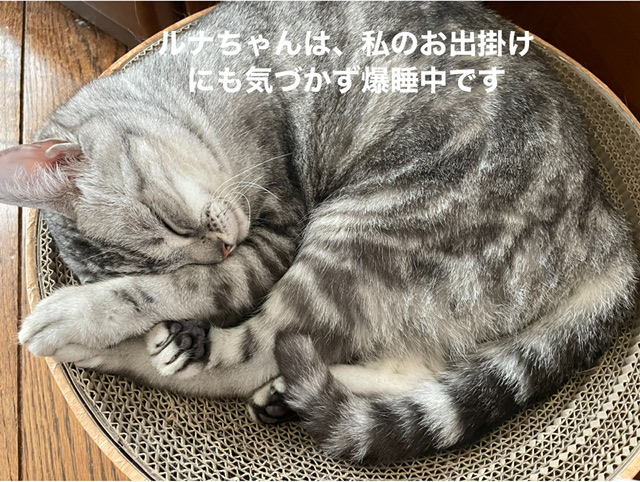 C0122B00-DE97-4FA1-A7D0-0D9AFAA973E3