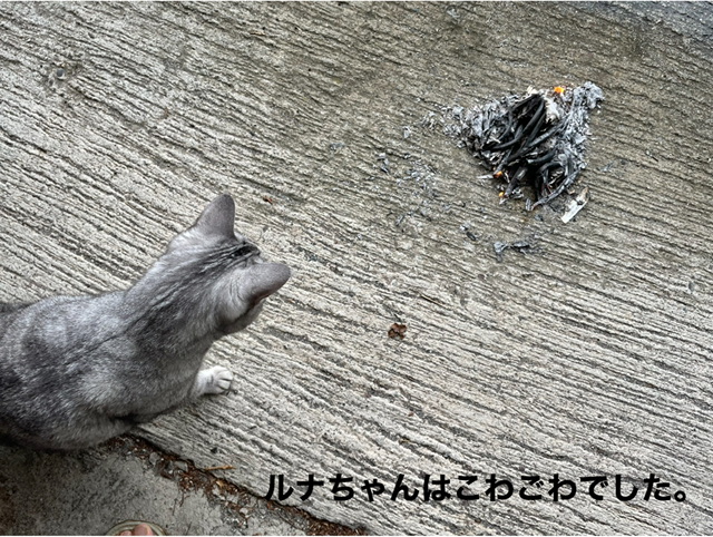 3C5FFC2B-4903-4A4B-87BE-7332E58EA6BF