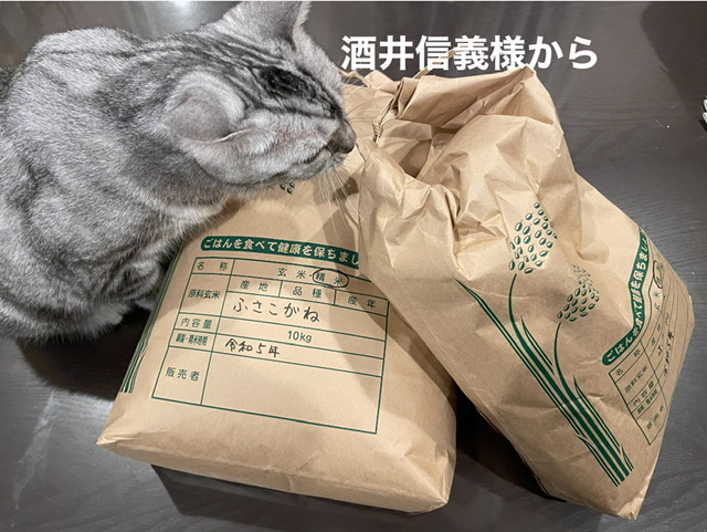 1C0B61B8-2D9A-499E-BF04-765D031BF8BF