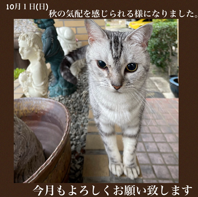 E6E37189-AE05-4A40-A4F3-1C657A079B78