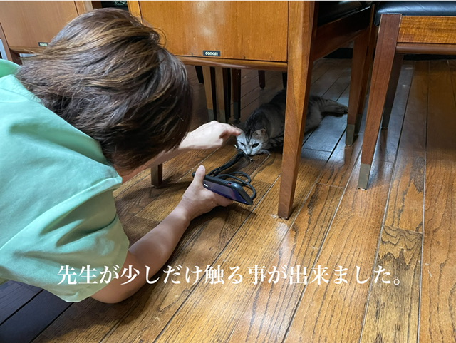 77AA019B-B2B0-4F35-B578-A2623490E7A0