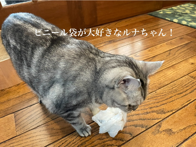 7A36EC62-4EBD-4B0F-BC1B-AF0C2320AE41