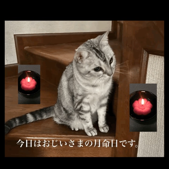 image-save-DDE20ED4-964F-45DB-B5F7-D404198DE1F3