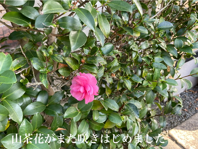 ED843012-D521-4C66-B4F5-4E1CD48EE160