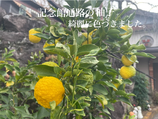 09456970-8EAC-4A87-909C-122BF61B409B