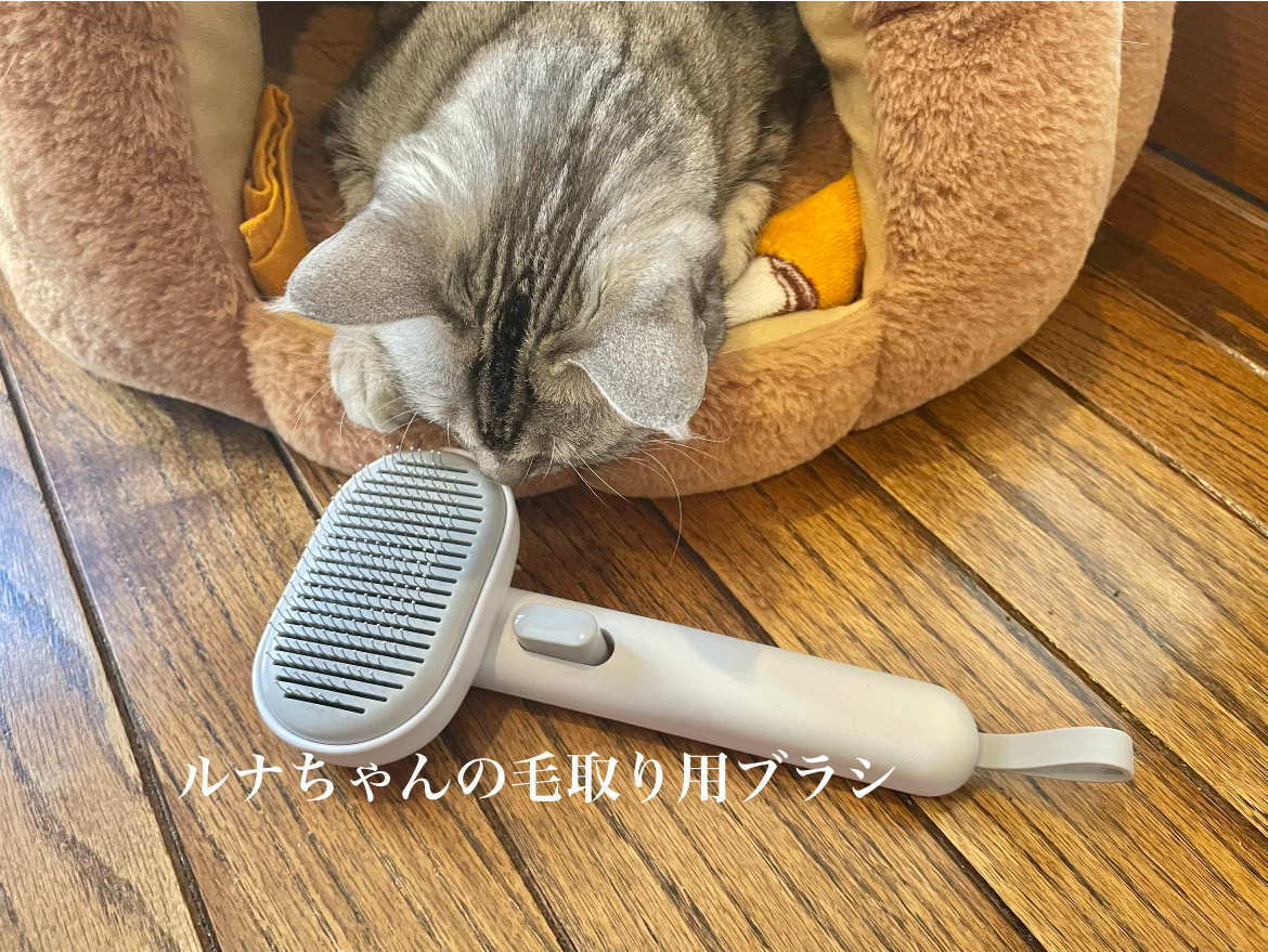 33603661-40B1-4F7E-9DAC-C6764B9BD5DC