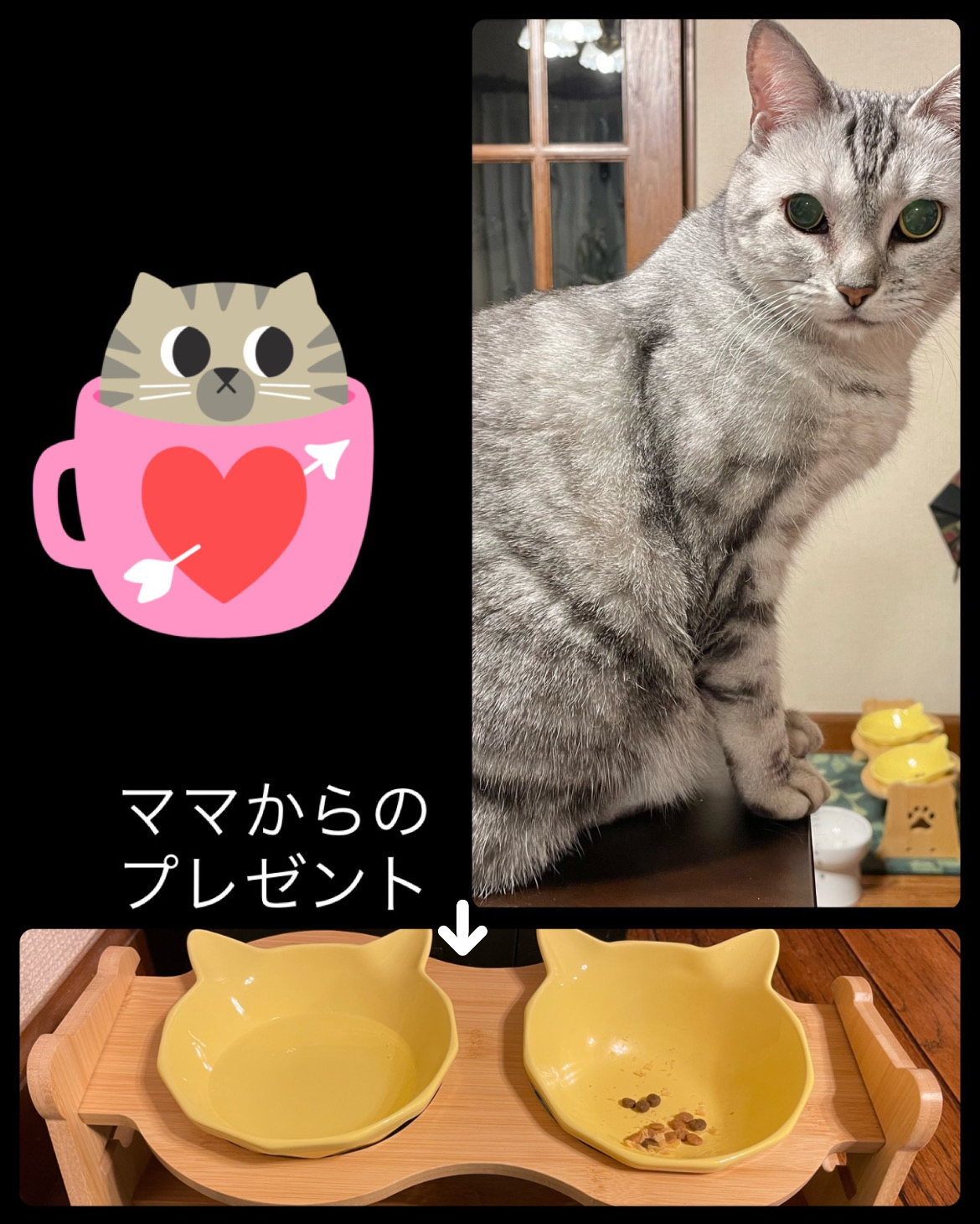 img17977_63F8AA01