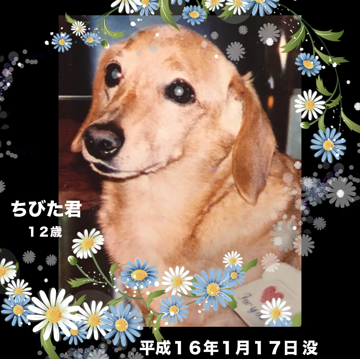 img18023_B3B4CC32