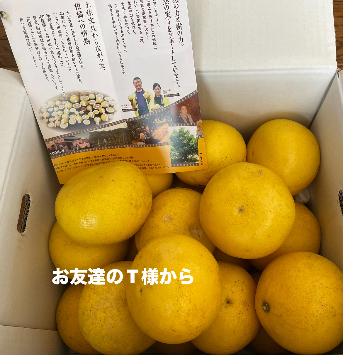 img18052_752BF484